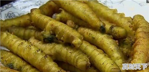 豆青虫上百元一公斤,是用来干嘛的 - 真时天下