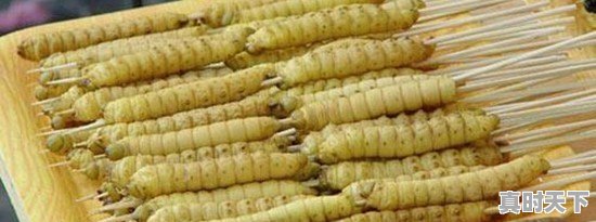 豆青虫上百元一公斤,是用来干嘛的 - 真时天下