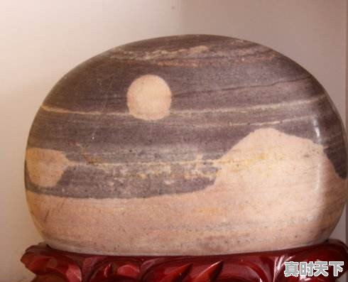 豆青虫上百元一公斤,是用来干嘛的 - 真时天下