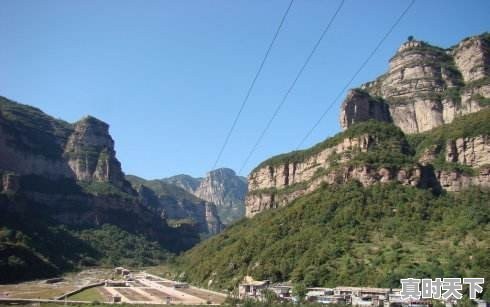 豆青虫上百元一公斤,是用来干嘛的 - 真时天下