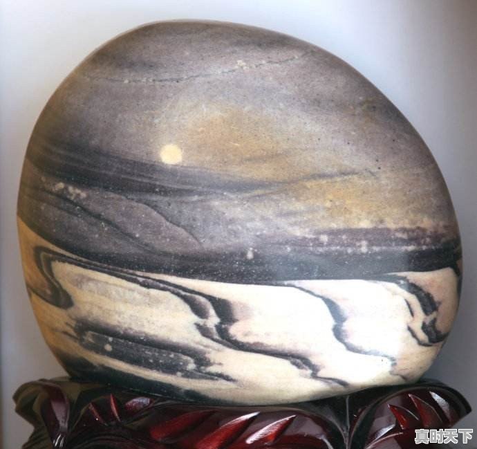 豆青虫上百元一公斤,是用来干嘛的 - 真时天下