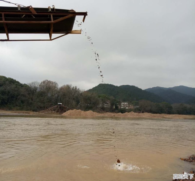 豆青虫上百元一公斤,是用来干嘛的 - 真时天下