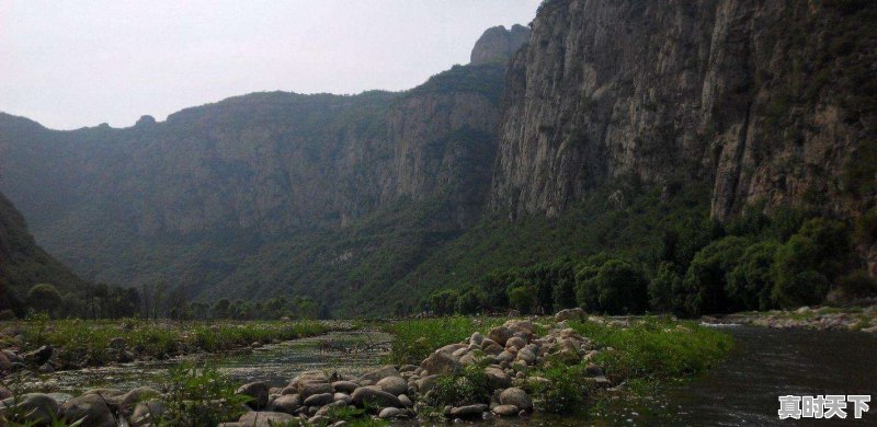 豆青虫上百元一公斤,是用来干嘛的 - 真时天下