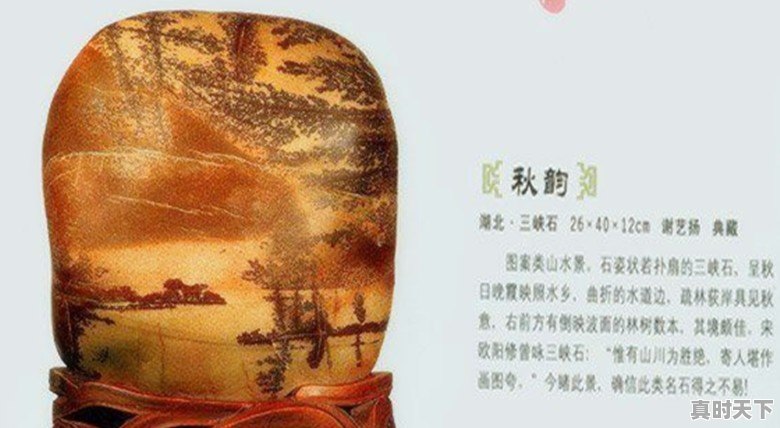 豆青虫上百元一公斤,是用来干嘛的 - 真时天下