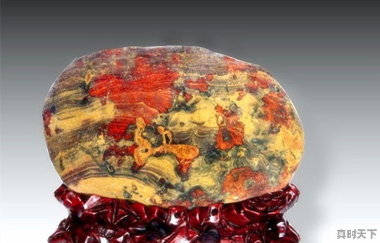 豆青虫上百元一公斤,是用来干嘛的 - 真时天下