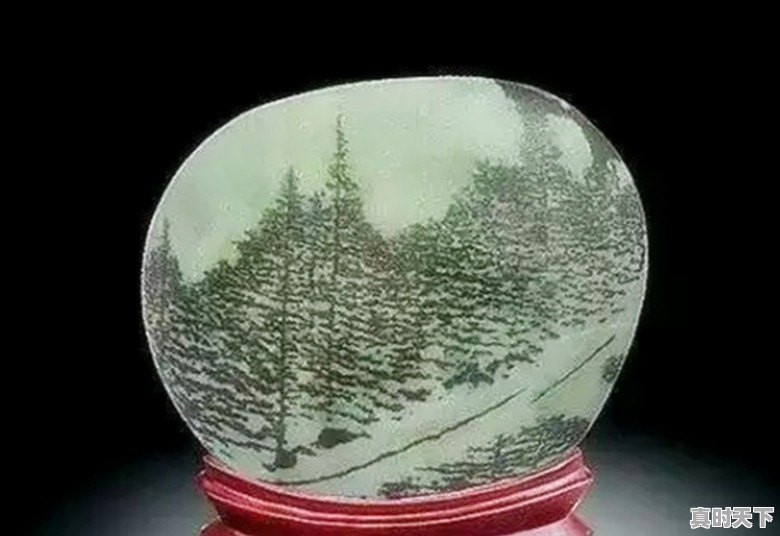 豆青虫上百元一公斤,是用来干嘛的 - 真时天下