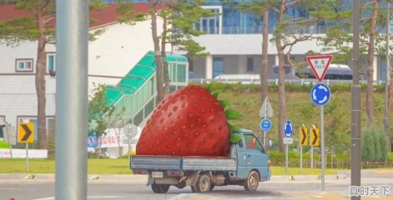 你听过最干净的句子是什么 - 真时天下