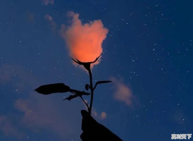 你听过最干净的句子是什么 - 真时天下