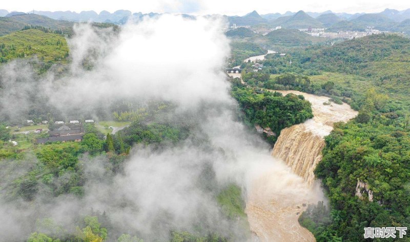 你听过最干净的句子是什么 - 真时天下
