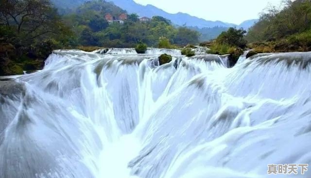 你听过最干净的句子是什么 - 真时天下