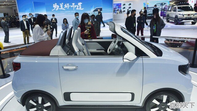 涨到害怕!比亚迪强势涨停,长城汽车紧急公告,谁在“推波助澜” - 真时天下