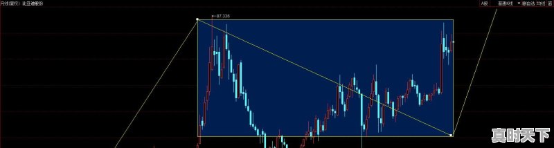 涨到害怕!比亚迪强势涨停,长城汽车紧急公告,谁在“推波助澜” - 真时天下