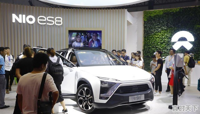 涨到害怕!比亚迪强势涨停,长城汽车紧急公告,谁在“推波助澜” - 真时天下