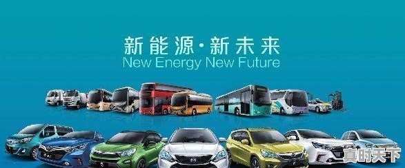 涨到害怕!比亚迪强势涨停,长城汽车紧急公告,谁在“推波助澜” - 真时天下