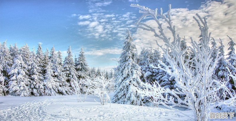 1、河北饶阳县十大特产,河北饶阳今日葡萄价格 - 真时天下