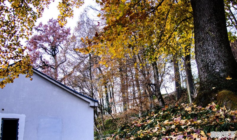 43.7℃!Ⅳ级应急响应!还要热多久 - 真时天下