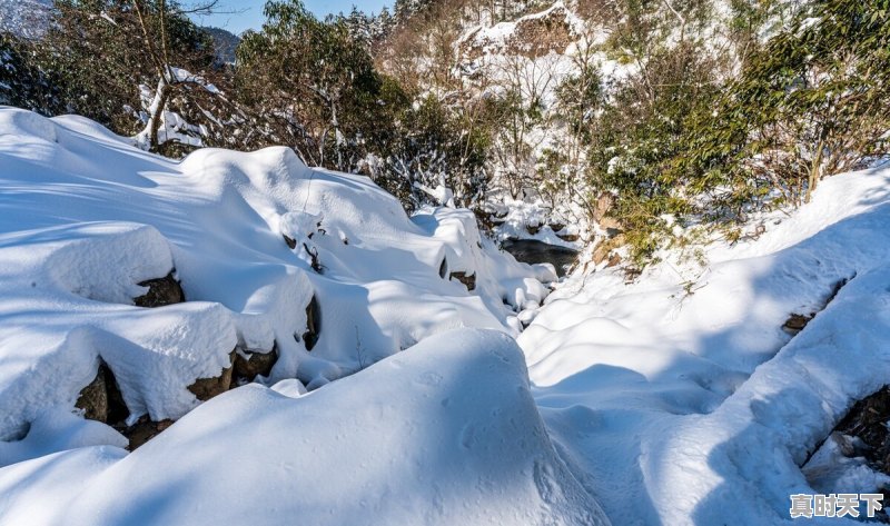 43.7℃!Ⅳ级应急响应!还要热多久 - 真时天下