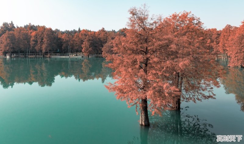 43.7℃!Ⅳ级应急响应!还要热多久 - 真时天下