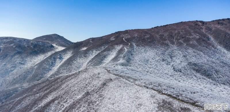 43.7℃!Ⅳ级应急响应!还要热多久 - 真时天下