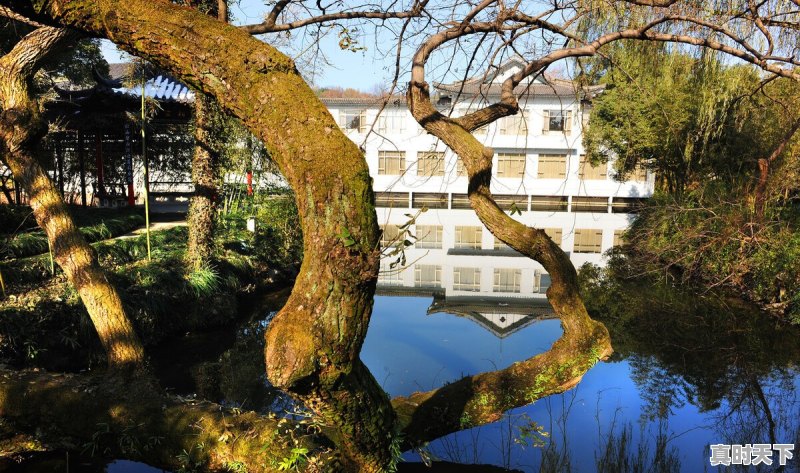 43.7℃!Ⅳ级应急响应!还要热多久 - 真时天下