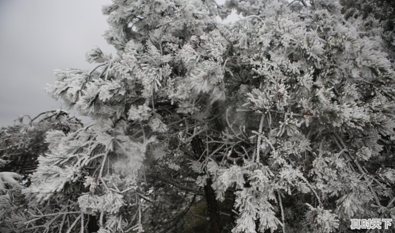 43.7℃!Ⅳ级应急响应!还要热多久 - 真时天下