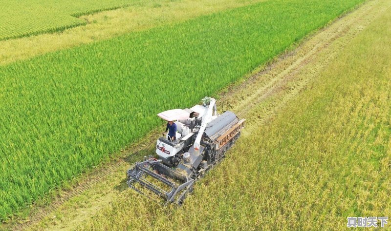 43.7℃!Ⅳ级应急响应!还要热多久 - 真时天下