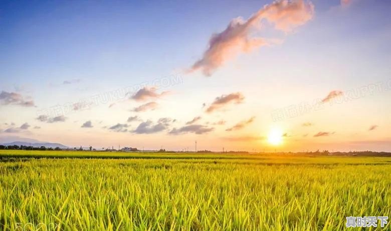 43.7℃!Ⅳ级应急响应!还要热多久 - 真时天下