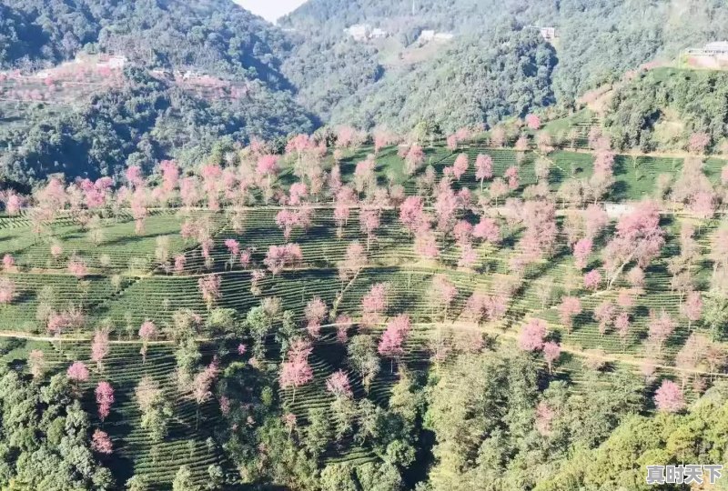 三,四月份西藏的天气怎么样 - 真时天下