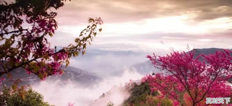 三,四月份西藏的天气怎么样 - 真时天下