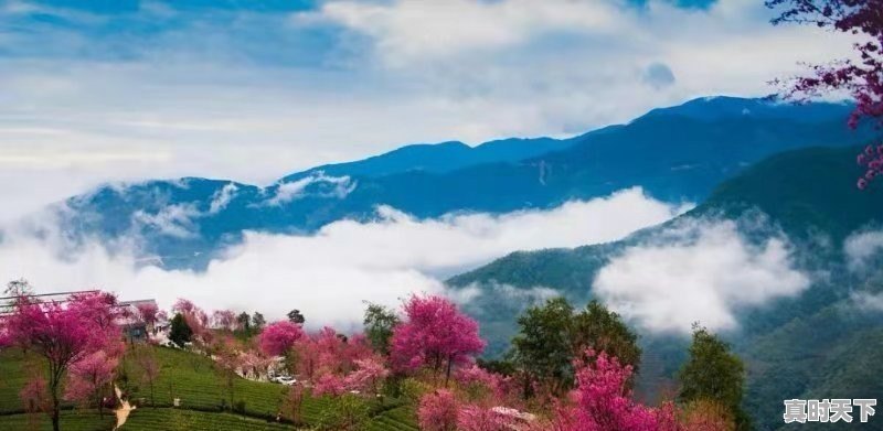 三,四月份西藏的天气怎么样 - 真时天下