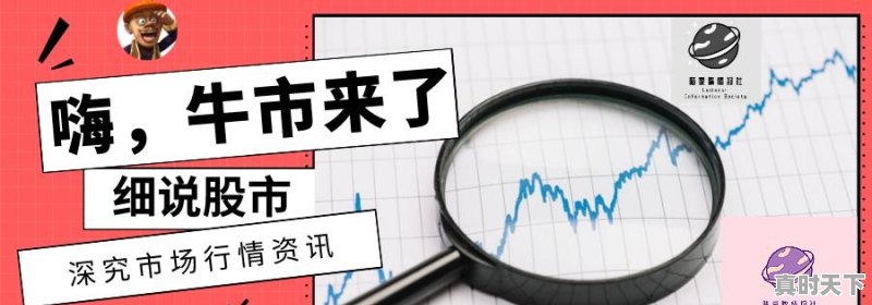 如果你有100万，是选择2-3只股票投资还是选择10只以上 - 真时天下