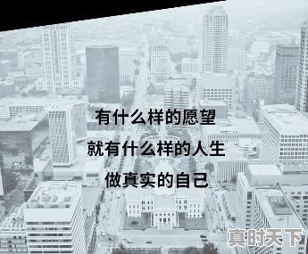 如果你有100万，是选择2-3只股票投资还是选择10只以上 - 真时天下