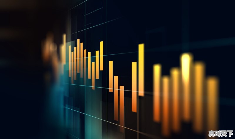 如果你有100万，是选择2-3只股票投资还是选择10只以上 - 真时天下