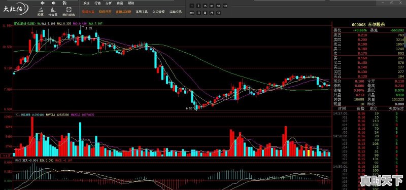 如果你有100万，是选择2-3只股票投资还是选择10只以上 - 真时天下