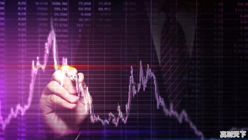 如果你有100万，是选择2-3只股票投资还是选择10只以上 - 真时天下