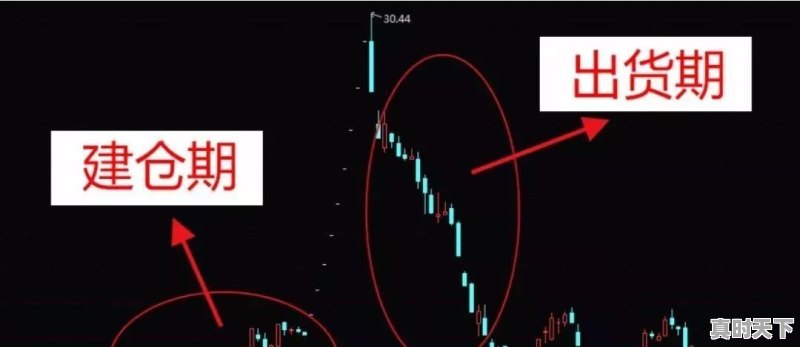 如果你有100万，是选择2-3只股票投资还是选择10只以上 - 真时天下