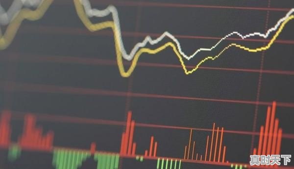 如果你有100万，是选择2-3只股票投资还是选择10只以上 - 真时天下