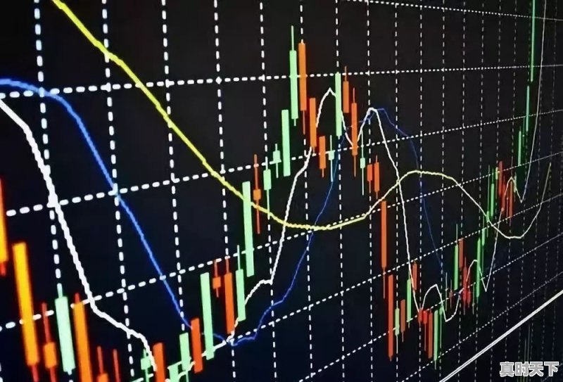 如果你有100万，是选择2-3只股票投资还是选择10只以上 - 真时天下