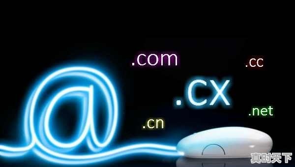 你认为未来稳坐第一高价股应来自哪个行业 - 真时天下