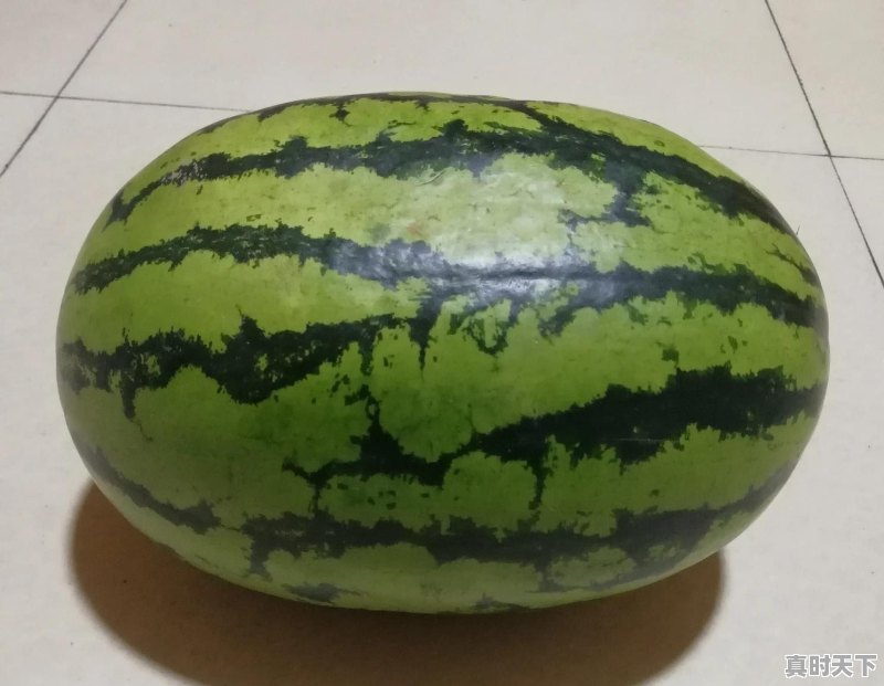 种过西瓜的土地适合种植其他农作物吗 - 真时天下