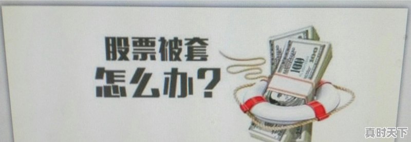 股票亏10个点以上了,大家是割还是死扛 - 真时天下