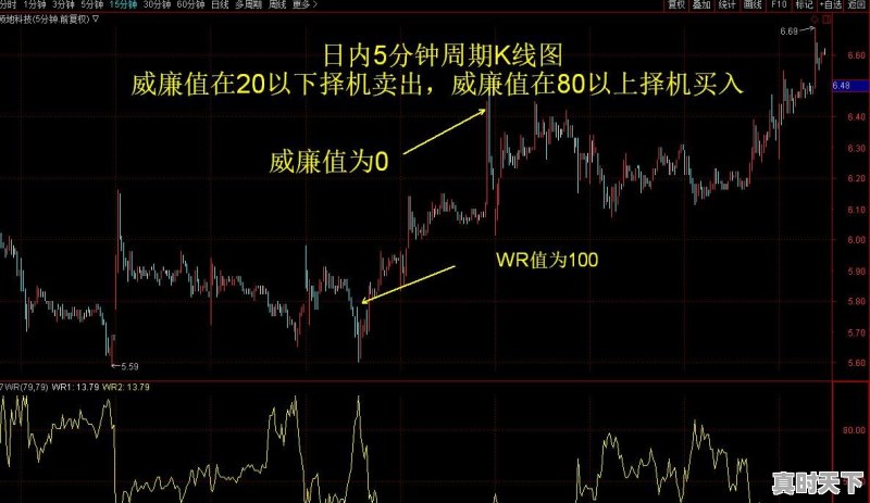 股票亏10个点以上了,大家是割还是死扛 - 真时天下