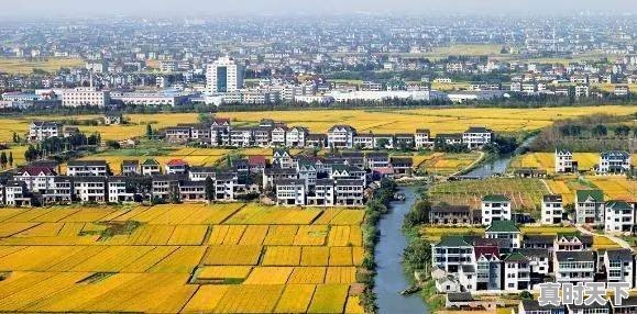 荆门今日鲫鱼价格行情 - 真时天下