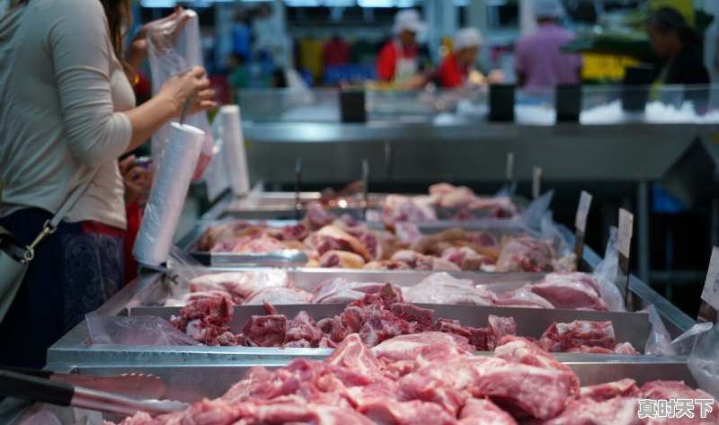 今日猪价涨了么 - 真时天下