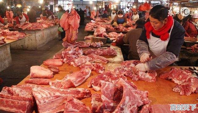 今日猪价涨了么 - 真时天下