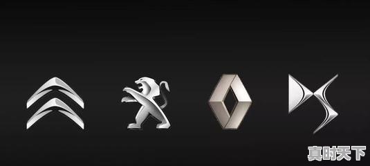 5万法系二手车哪款值得买 - 真时天下