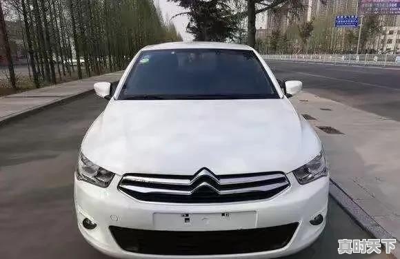5万法系二手车哪款值得买 - 真时天下