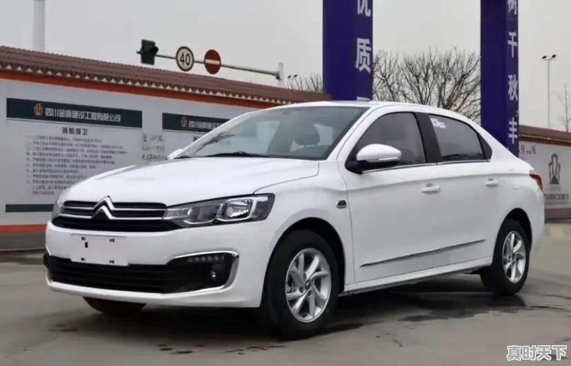 5万法系二手车哪款值得买 - 真时天下