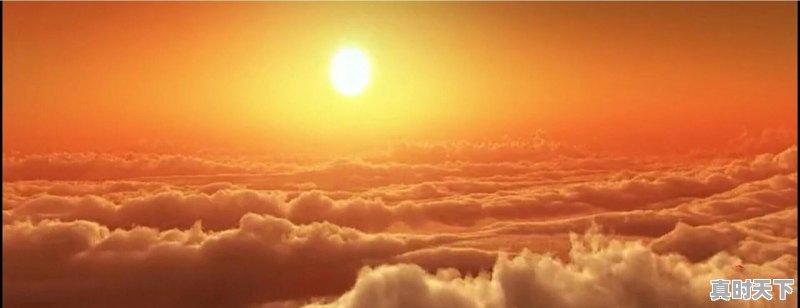 红薯酒你们喜欢喝吗?会酿不 - 真时天下