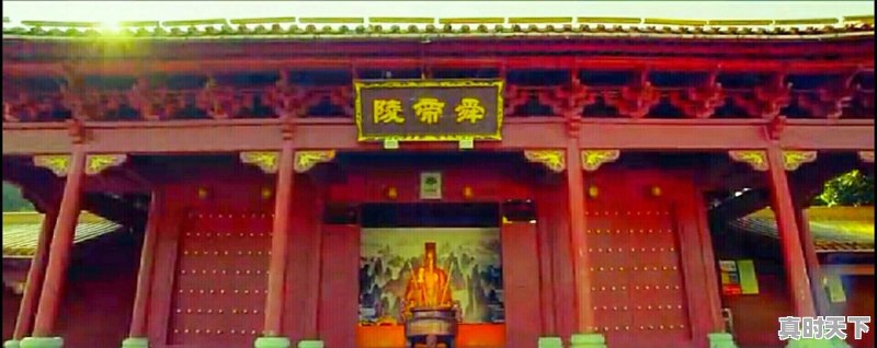 红薯酒你们喜欢喝吗?会酿不 - 真时天下